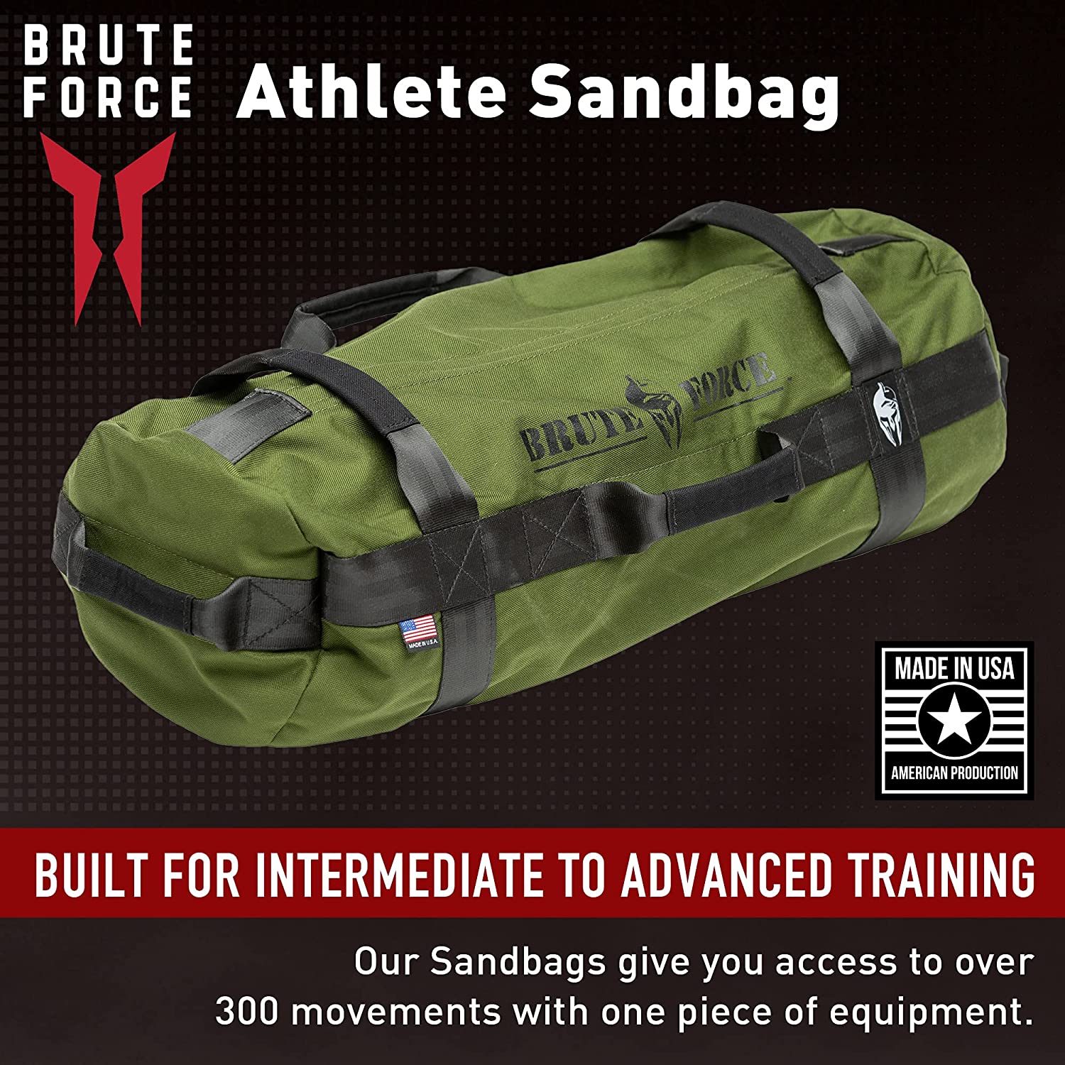 Rogue Sandbag 2.0 review