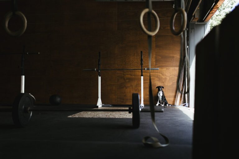 How To Install Gymnastic Rings In The Garage?