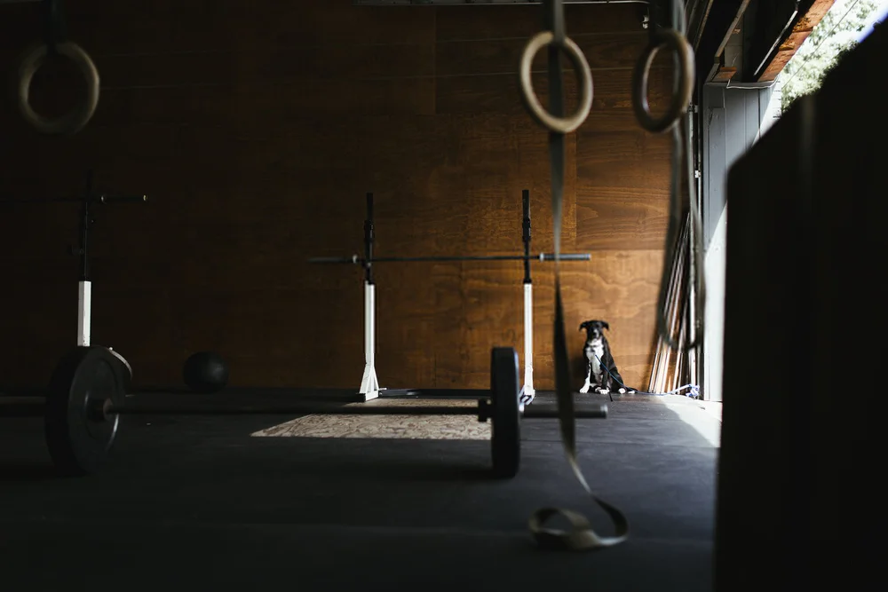 Gymnastic Rings In The Garage